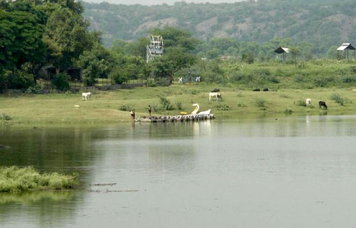 3. Water Banks Island Resort