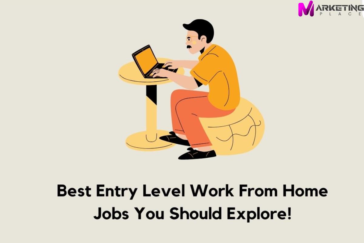 Best 5 Entry Level Work from Home Jobs – 2024